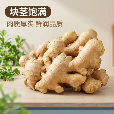 山东大生姜正宗老姜原生态无添加晒干