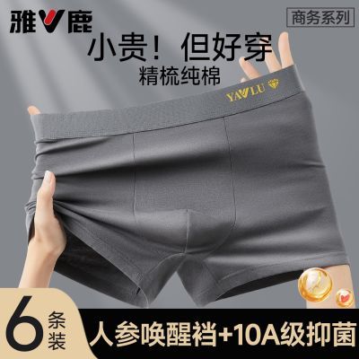 ���ڲ�������¹��ʿ�ڿ㴿������2026�¿��ĽǶ̿�����п�͸������ƽ�ǿ��� 35.1Ԫ