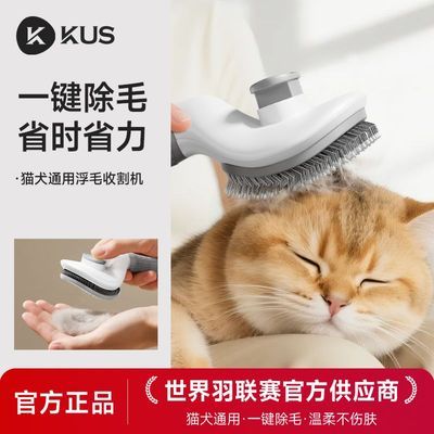 ���ڲ�������������è����ë�����Ὺ�����������������������ѵ�����⽡�� 10.9Ԫ