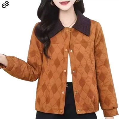 ���ڲ�����33С����������Ů����2026�¿�������б���޺ÿ�С�������� 111Ԫ