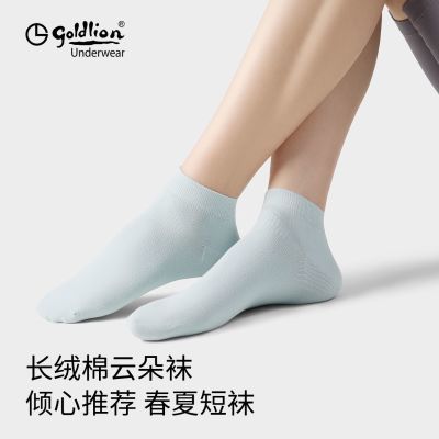 ���ڲ���������������Ů��2026���ļ�����͸����ͲŮ����Ƹߵ�Ů����Ͳ���� 46.5Ԫ