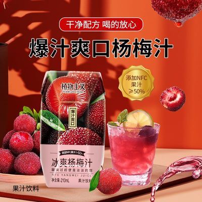 冰爽杨梅汁12瓶整箱装50%NFC果汁干净配方夏季酸甜果汁饮料