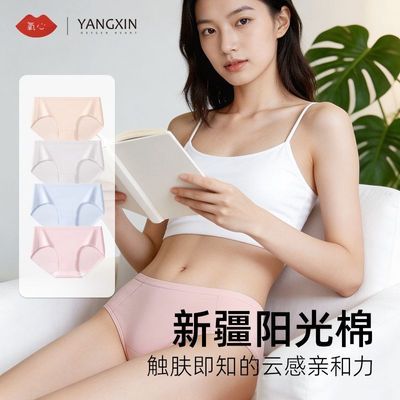 ���ڲ����������½������������ڿ�����͸�������ߵ������ɴ��޶�����װ�ڿ� 16.3Ԫ