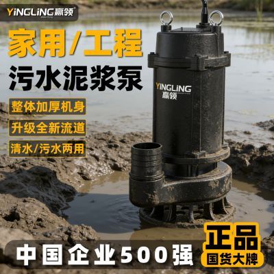 ���ڲ�����Ӯ����ˮ��220V����С�ͳ�ˮ�ø���̻���س�ˮ��������۱�380V 195.1Ԫ