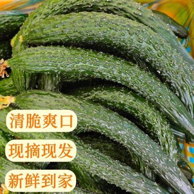 黄瓜新鲜现摘现发青瓜黄瓜食堂专用,一整箱