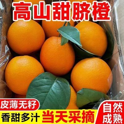 【高山甜橙】正宗脐橙批发价爆甜多汁新鲜橙子薄皮纽荷尔包邮9斤