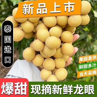 【顺丰发货】正宗泰国金标龙眼进口新鲜龙眼水果当季整箱桂圆去叶