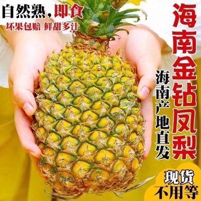 ���ڲ�����������2���𡿺��Ͻ������������˺���۴��ܾ���4.5�������� 22.4Ԫ