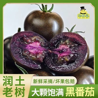 ���ڲ���������ɭ��˳����ʡ�ɽ���ڷ��Ѻ���ʥŮ������������1���� 13.99Ԫ