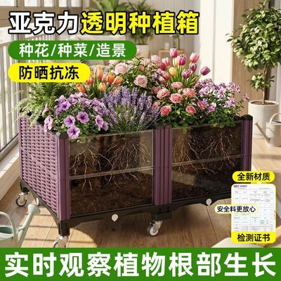 ���ڲ�����ԭ����ǿ�����ֲ����ּ�����߲���ͥԺ������̨�ֲ�ר���� 31.99Ԫ