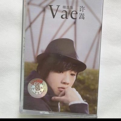 精品绝版磁带 许嵩精选经典歌曲 未拆全新典藏