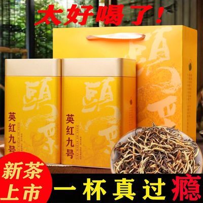 金毛毫2025新茶正宗英红九号英德红茶1959浓香型罐装礼盒年货送礼