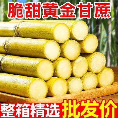 云南黄金甘蔗5斤爆甜新鲜脆甜秒杀价：4.79元https://p.pinduoduo.com/vSz8JPjM?sc=EFAC