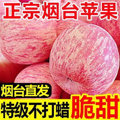 【彩箱】正宗烟台苹果脆甜山东栖霞红富士新鲜苹果水果批发一整箱