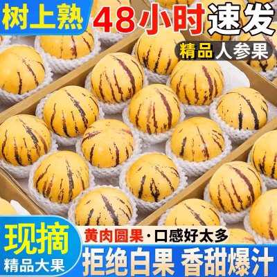 云南人参果黄肉黄心人参果大果特大水果孕妇特大果低糖整箱