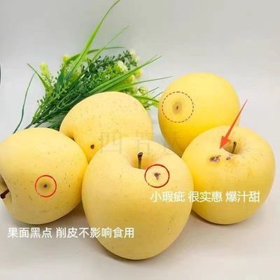 正宗山东烟台黄金奶油富士苹果2025新果应季孕妇产地新鲜瑕疵