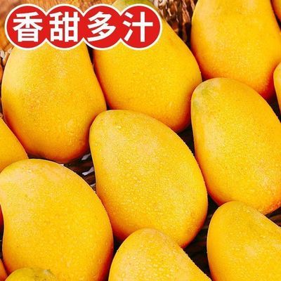 【彩箱】正宗海南小台农芒果4.2斤微花皮新鲜当季热带水果鸡蛋芒