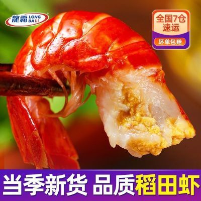 ���ڲ����������ԡ�ˮ����ˮ�䶳С��Ϻβȥ������310g/��һ��130-150��/����� 31.1Ԫ