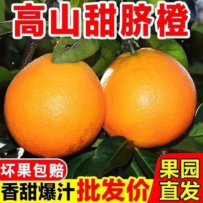 高山脐橙正宗橙子当季薄皮水果应季多汁新鲜荷尔整箱赣南甜橙