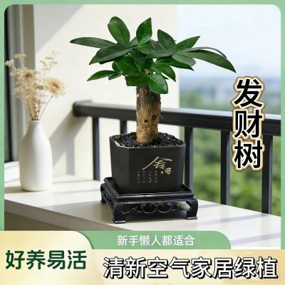 ���ڲ�����������С����������ֲ�칫���ڿ�����������ֲ�ﾻ�������ļ����� 7.58Ԫ