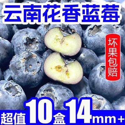 【10盒14mm+】正宗云南花香蓝莓现摘当季甜蓝莓新鲜孕妇水果