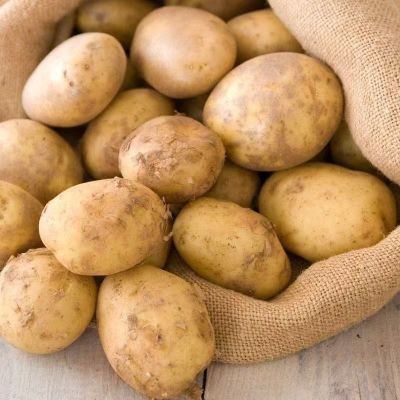 【2026新货】云南高山黄皮土豆3/10斤洋芋新鲜芋头马铃薯整箱批发