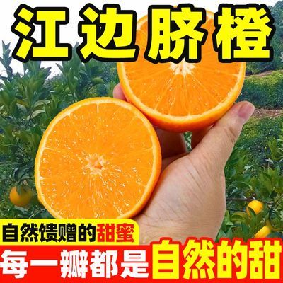 正宗荷尔多汁脐橙现摘当季新鲜甜橙子应季水果带箱批发直发包邮