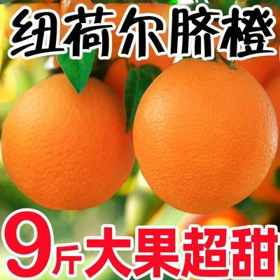 正宗荷尔多汁脐橙现摘当季新鲜甜橙子应季水果带箱批发直发包邮