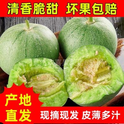 正宗头茬甜瓜新鲜现摘包邮 绿宝石甜瓜农家自种当季东北水果整箱