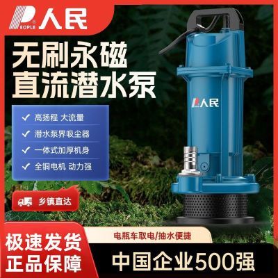人民无刷直流潜水泵24V48V60V72V电瓶车家用抽水机农用灌溉污水泵