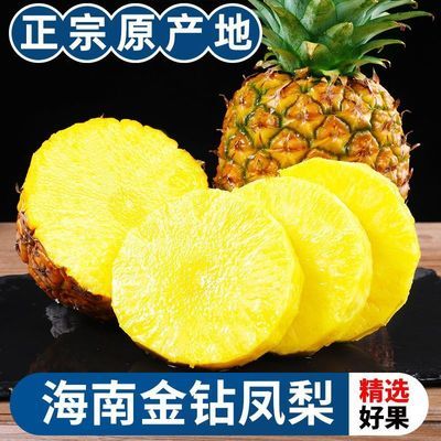 【彩箱】正宗海南金钻凤梨新鲜金钻凤梨手撕凤梨净重3斤单果1.5斤