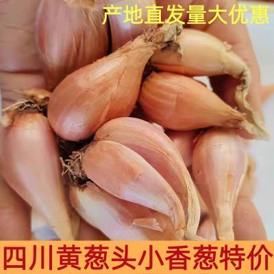正宗四川小香葱黄葱头红葱头火葱干葱家庭食用榨炸葱油酥商用餐饮