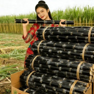 正宗广西黑皮甘蔗中段新鲜水果应当季脆甜果糖蔗榨汁糖浆甜杆批发
