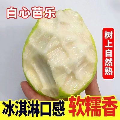 广西软糯芭乐白心冰淇淋新鲜水果番石榴软心奶油芭乐当季