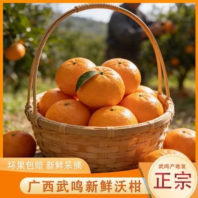 正宗广西武鸣沃柑新鲜橘子水果当季年货9斤5斤蜜橘柑橘大果整箱