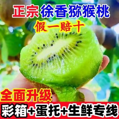 【真徐香】陕西绿心猕猴桃当季水果奇异果大果整箱批发非红心黄心