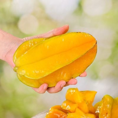 福建漳州现摘甜杨桃五角星星水果树上熟当季新鲜水果整箱厂家批发