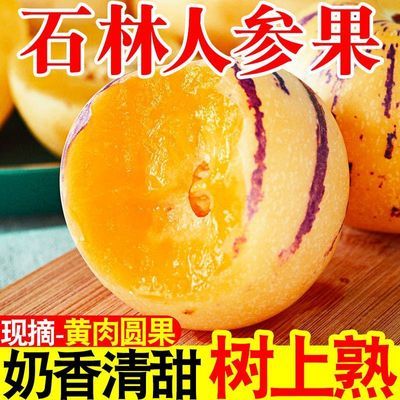 云南石林人参果黄肉黄心应季圆果肉圆树上熟水果新鲜当季大果整箱