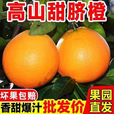现摘高山甜橙新鲜脐橙薄皮多汁整箱批发应季水果产地直供