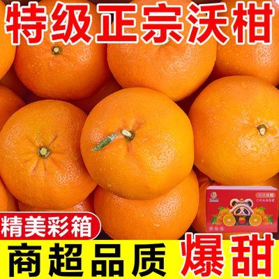 【彩箱装】正宗云南高山沃柑应季橘子柑橘新鲜桔子水果批发一整箱