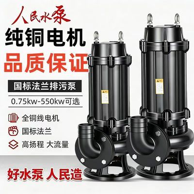 上海国标正品人民污水泵380V三相潜水排污泵单相220V家用潜水泵