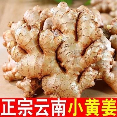 正宗云南高山小黄姜,两年老姜。正宗云南小黄姜优惠商品图片