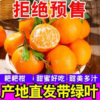 超甜爆汁】四川耙耙柑春见粑粑柑当季新鲜水果超甜薄皮桔子批发