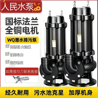 上海国标正品人民污水泵380V三相潜水排污泵单相220V家用潜水泵