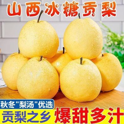 山西贡梨梨子冰糖雪梨整箱正宗酥梨脆甜新鲜应季水果薄皮批发直发