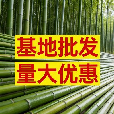 晾衣杆婚庆装饰竹竿子粗大竹子道具花艺装饰毛竹杆搭架子框架竹杆
