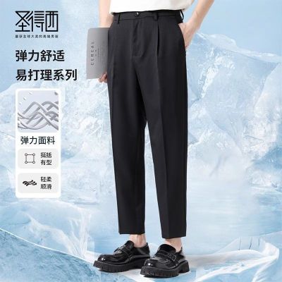 ���ڲ��������״�����ʥ���������ŷ�׶�ο�2026�ļ��¿�ʱ�������������� 65.19Ԫ