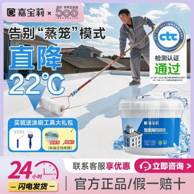 【嘉宝莉】屋面防水隔热涂料金属彩钢瓦铁皮楼顶防晒耐高温材料水性漆
