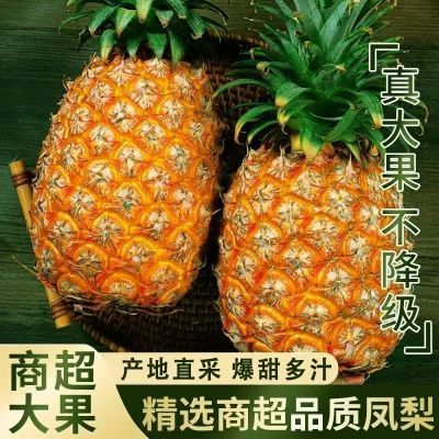 【海南直发】爆甜当季海南凤梨,金钻无眼菠萝,香甜多汁不用挖眼