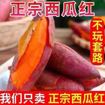 带箱5斤小红薯正宗西瓜红蜜薯糖心新鲜番薯板栗沙地地瓜农家自种